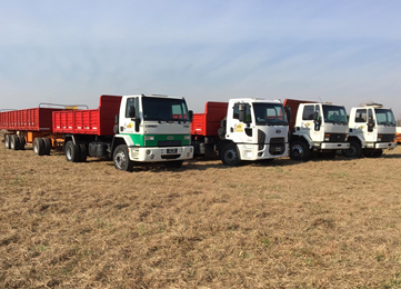 Our Services